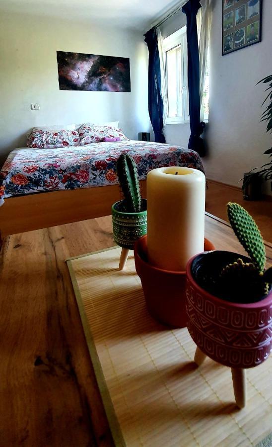 Entire House In The Heart Of Kozana Apartment โดบรอโว ภายนอก รูปภาพ
